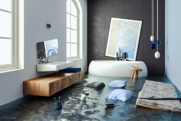 Best Water damage cleanup near me  in Plainwell, MI