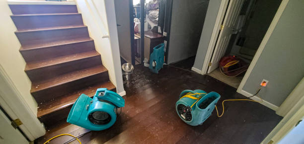 Local water damage restoration in MI