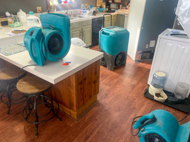 Best Flooded house restoration  in Plainwell, MI