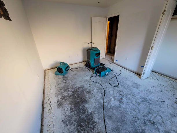  Plainwell, MI Water damage restoration Pros