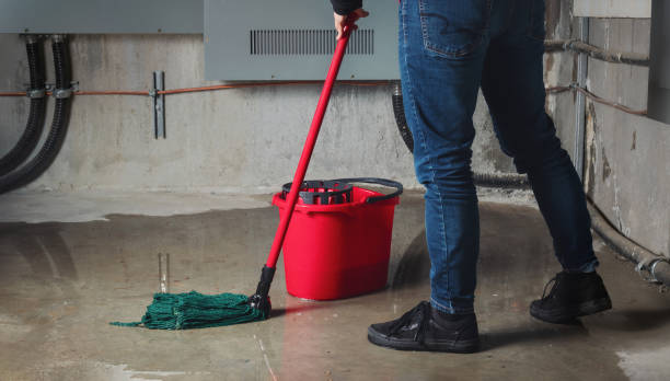 Best Fire Damage Restoration  in Plainwell, MI