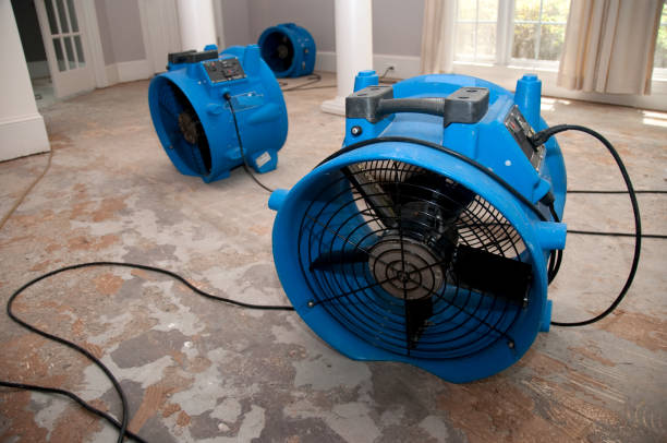 Best Emergency water damage restoration  in Plainwell, MI