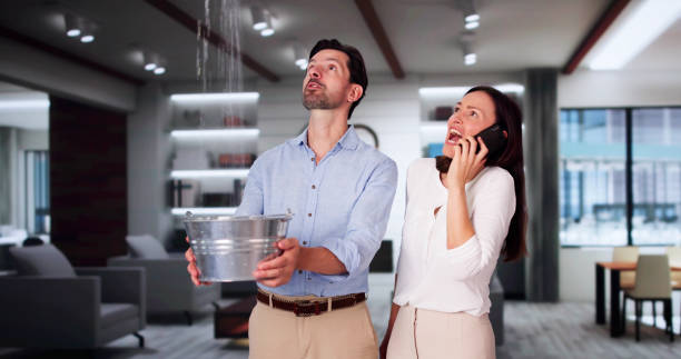 Best Commercial water damage restoration  in Plainwell, MI